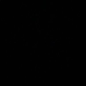 Meet your Posher, Stéphanie